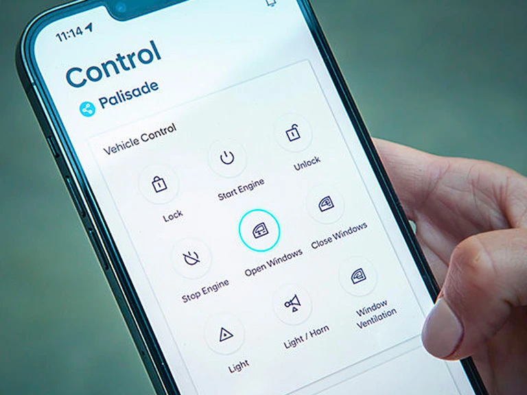 Remote door lock/unlock*.